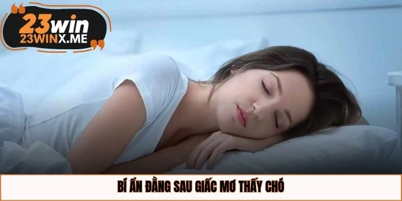 Bí ẩn đằng sau giấc mơ thấy chó