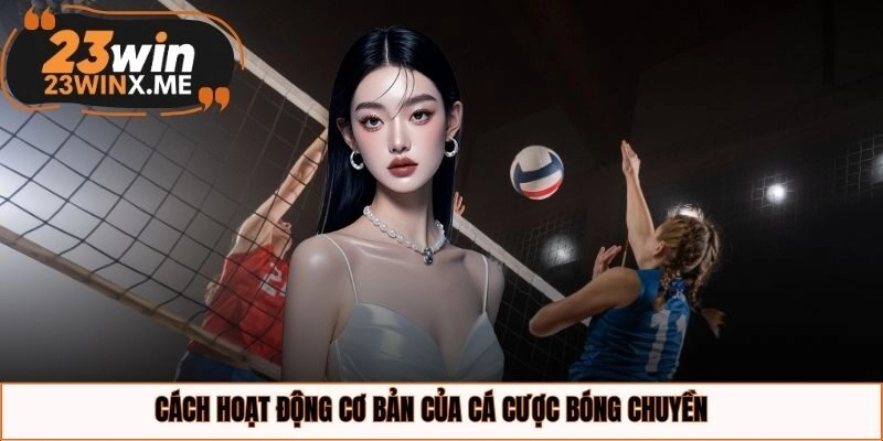 Cách hoạt động cơ bản của cá cược bóng chuyền
