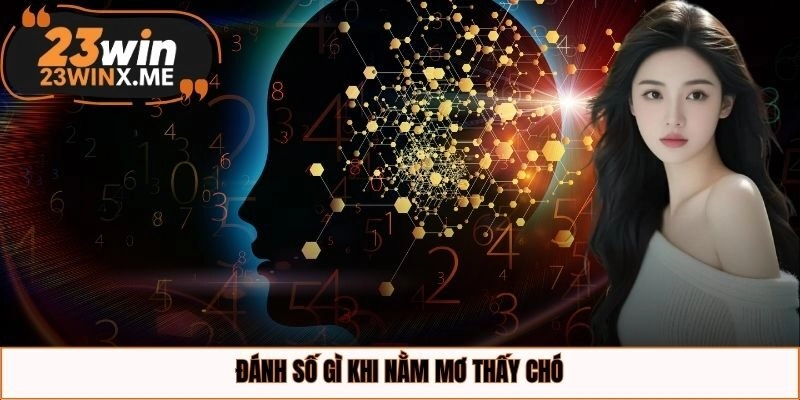 Đánh số gì khi nằm mơ thấy chó