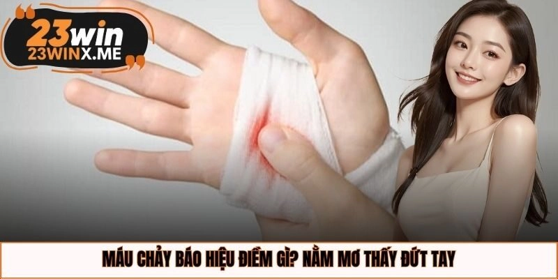 Máu chảy báo hiệu điềm gì? Nằm mơ thấy đứt tay