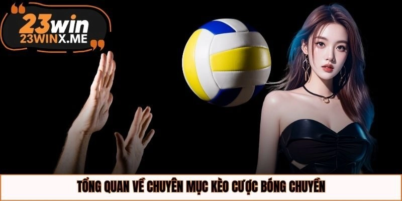 Tổng quan về chuyên mục kèo cược bóng chuyền