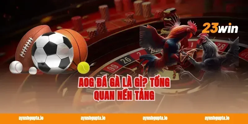 AOG đá gà là gì? Tổng quan nền tảng