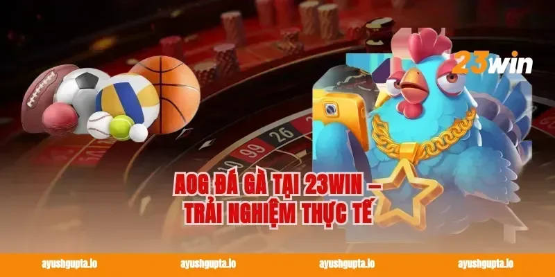 AOG đá gà tại 23win — Trải nghiệm thực tế