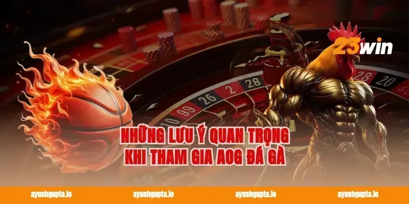 Những lưu ý quan trọng khi tham gia AOG đá gà