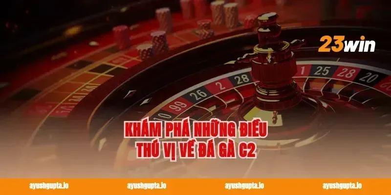 Khám Phá Những Điều Thú Vị Về Đá Gà C2