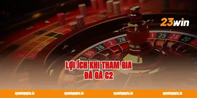 Lợi Ích Khi Tham Gia Đá Gà C2