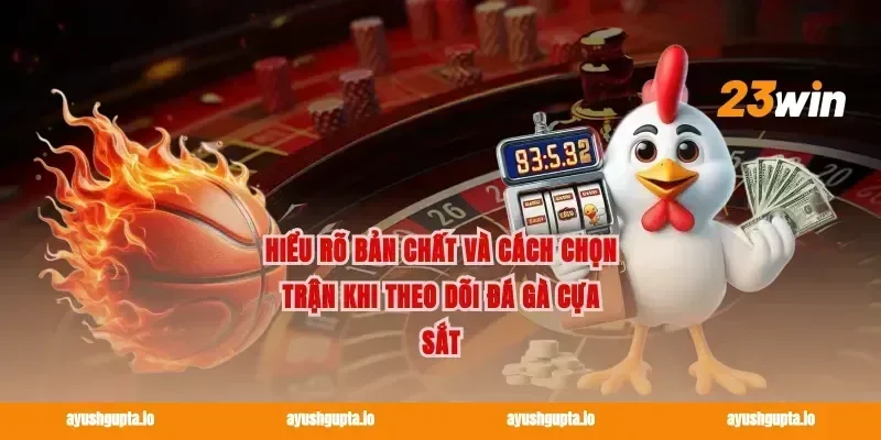 Hiểu rõ bản chất và cách chọn trận khi theo dõi Đá gà cựa sắt