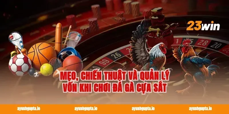 Mẹo, chiến thuật và quản lý vốn khi chơi Đá gà cựa sắt