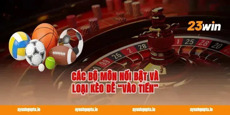 Các bộ môn nổi bật và loại kèo dễ “vào tiền”